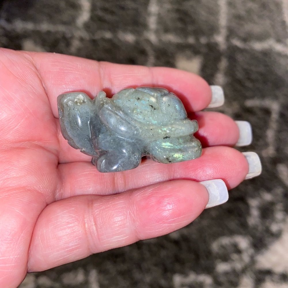 Crystal turtles - Picture 15 of 16